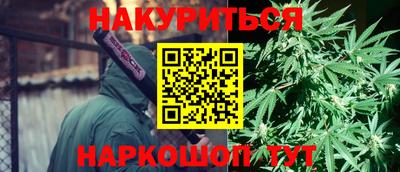 сатива Кимры