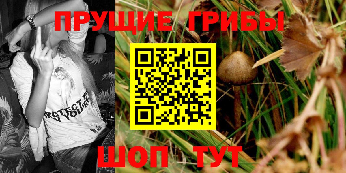 как найти закладки  Псилоцибиновые грибы ЛСД  Вход с VPN  Кувандык 