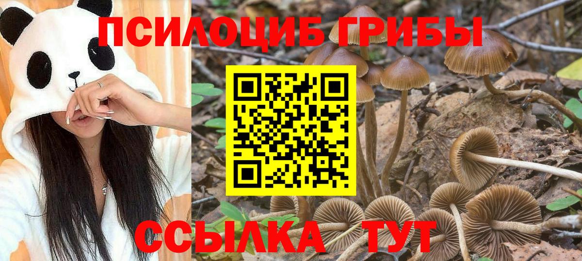 Псилоцибиновые грибы Magic Shrooms Кувандык