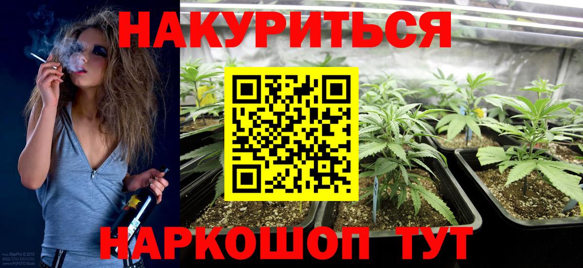 Каннабис конопля Кувандык